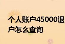个人账户45000退休能拿多少 养老金个人账户怎么查询 