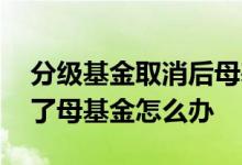 分级基金取消后母基金怎么办 分级基金取消了母基金怎么办