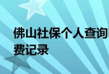 佛山社保个人查询明细在哪 如何查询社保缴费记录 