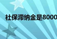 社保滞纳金是8000元封顶吗 社保滞纳金谁交 