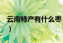 云南特产有什么枣（云南特产有什么（图文））