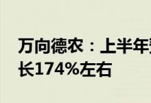 万向德农：上半年预盈4851万元左右同比增长174%左右