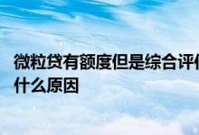 微粒贷有额度但是综合评估未通过 微粒贷综合评估未通过是什么原因