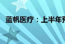 蓝帆医疗：上半年预亏1.65亿元-1.95亿元