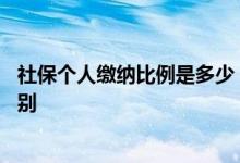 社保个人缴纳比例是多少 自己交社保和单位交社保有什么区别 