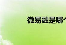 微易融是哪个公司（微易融）