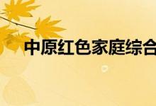 中原红色家庭综合保险2021版保险规则