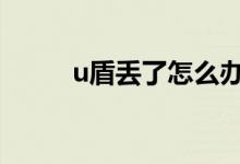 u盾丢了怎么办啊 u盾丢了怎么办