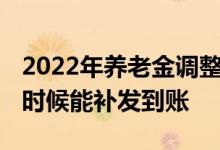 2022年养老金调整方案公布 有哪些步骤什么时候能补发到账 