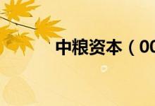 中粮资本（002423）增发公告