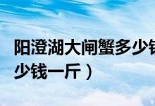 阳澄湖大闸蟹多少钱一斤啊（阳澄湖大闸蟹多少钱一斤）