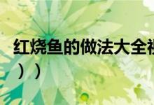 红烧鱼的做法大全视频（红烧鱼的做法（图文））
