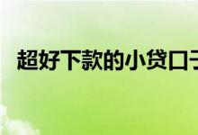 超好下款的小贷口子（大小贷有下款的吗）