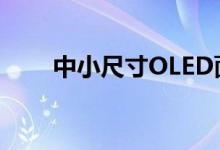 中小尺寸OLED面板市场迎成长契机