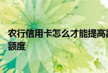 农行信用卡怎么才能提高额度 农行信用卡怎么申请提升信用额度
