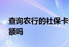查询农行的社保卡余额 农行可以电话查询余额吗