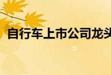 自行车上市公司龙头自行车上市公司有哪些