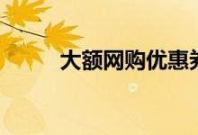 大额网购优惠券（大额网贷口子）