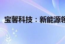 宝馨科技：新能源领域业务尚在投资建设中
