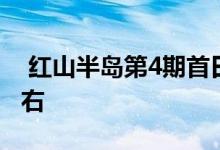  红山半岛第4期首日销情佳 港岛客佔约8成左右 