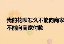 我的花呗怎么不能向商家付款,别人的都能付 我的花呗怎么不能向商家付款