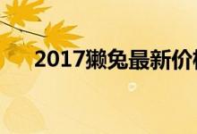 2017獭兔最新价格（獭兔多少钱一斤）