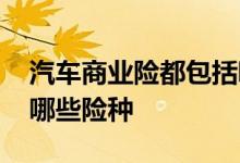 汽车商业险都包括哪些险种 汽车商业险包括哪些险种