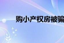 购小产权房被骗（购小产权房合同）