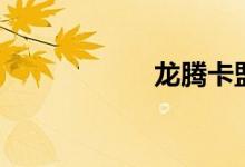 龙腾卡盟（龙腾卡）