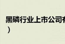 黑磷行业上市公司有哪些（黑磷股票名单一览）