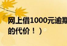 网上借1000元逾期不还成老赖（这就是失信的代价！）