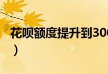 花呗额度提升到3000（花呗额度提升到3000）