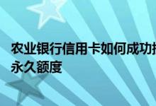 农业银行信用卡如何成功提高额度 农业银行信用卡如何提升永久额度