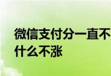 微信支付分一直不涨什么情况 微信支付分为什么不涨