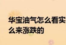 华宝油气怎么看实时涨跌 华宝油气是根据什么来涨跌的