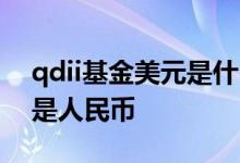 qdii基金美元是什么意思 qdii基金用美元还是人民币