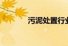 污泥处置行业股票有哪些（）