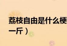 荔枝自由是什么梗（今年荔枝价格直逼60元一斤）