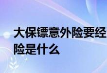 大保镖意外险要经济收入吗 全民大保镖意外险是什么