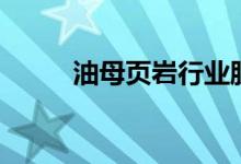 油母页岩行业股票名单有哪些（）