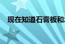 现在知道石膏板和水泥板哪个更好还不晚 