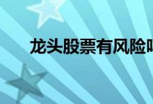 龙头股票有风险吗 龙头股票有哪些呢 