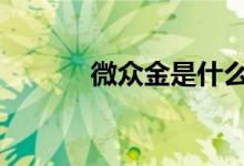 微众金是什么 微众金购买方法