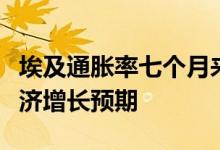 埃及通胀率七个月来首度下降惠誉调高埃及经济增长预期