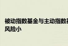 被动指数基金与主动指数基金区别 被动基金和主动基金哪个风险小