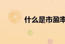 什么是市盈率,怎样计算市盈率