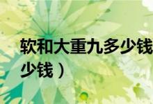 软和大重九多少钱一包（软大重九99一包多少钱）