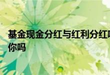 基金现金分红与红利分红哪种好 基金现金分红是每天分钱给你吗