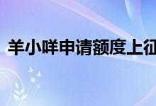 羊小咩申请额度上征信吗 羊小咩要上征信吗