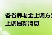 各省养老金上调方案何时公布 2022年养老金上调最新消息 
